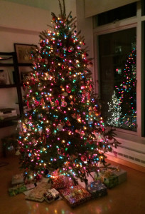 EverGreen Delivery - Boston Christmas Tree Delivery by Bicycle
