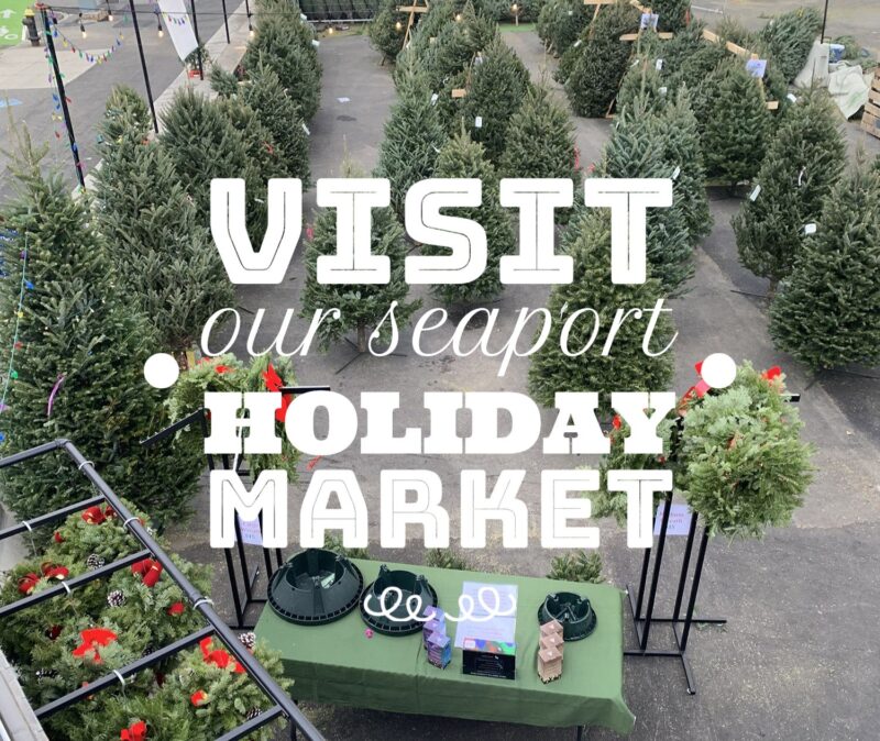 Boston Seaport Christmas Tree Lot 65 Northern Ave Boston